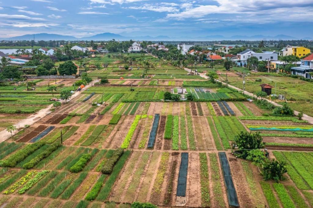 Hoi An Ht Villa And Hostel Kültér fotó